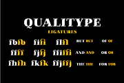 Qualitype Old, a Serif Font by BULENT YUKSEL (Thumbnail 8 of 14)