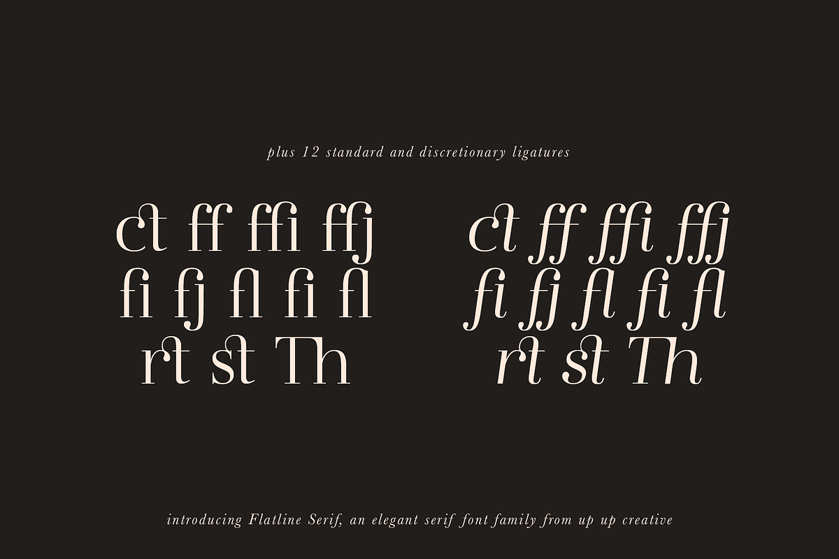 Flatline Serif Complete - 16 fonts, a Serif Font by Up Up Creative (Photo 7 of 13)