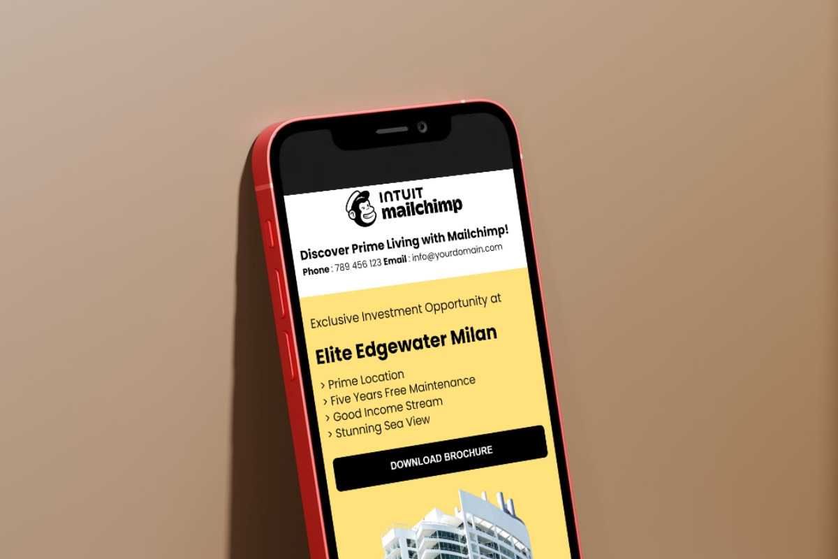 Mailchimp editable email template, an Email Template by Nivindesign (Photo 7 of 12)