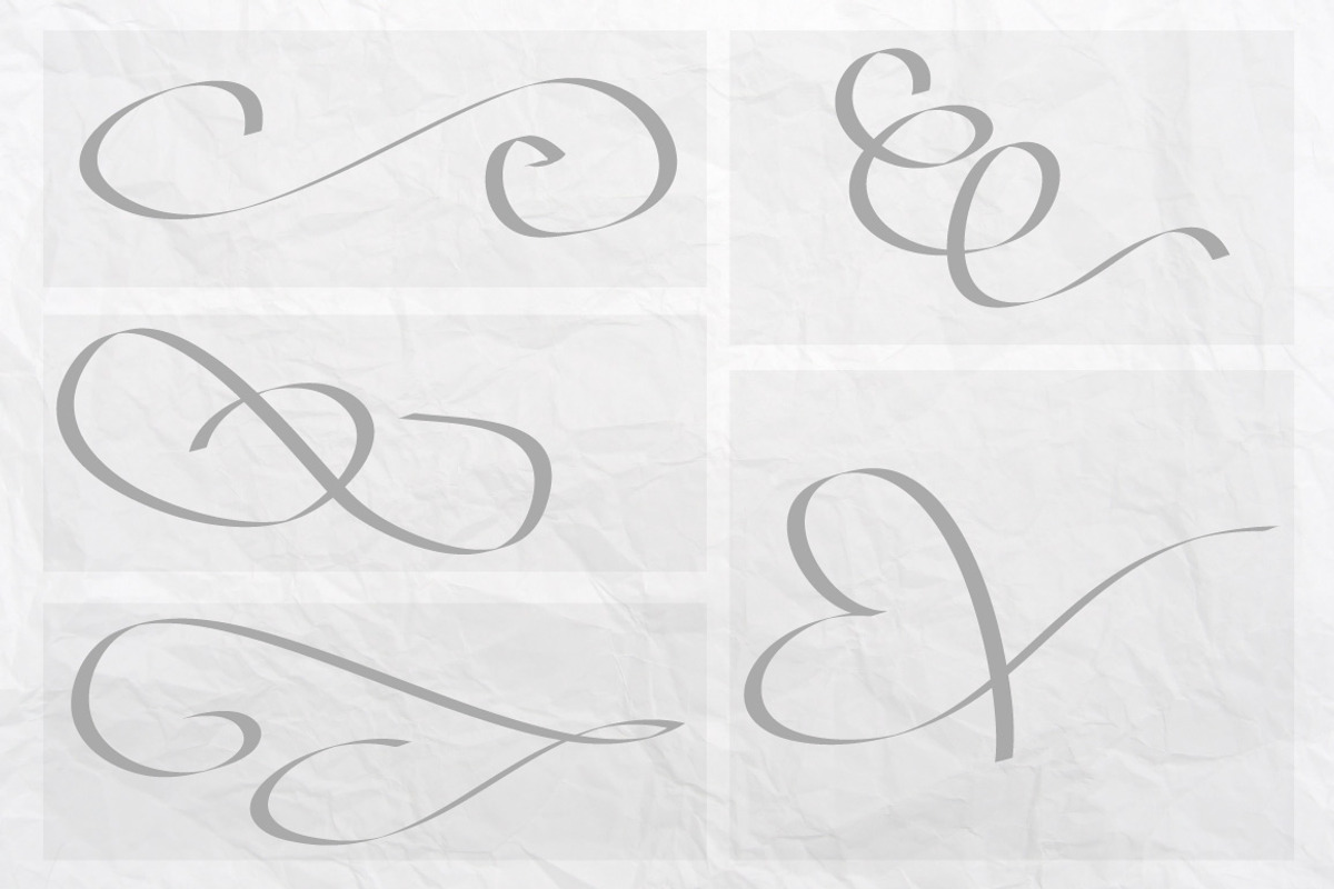 Vector Flourishes, a Decorative Illustration by Little Pixel Shop (Photo 4 of 5)