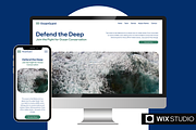 Non-Profit Wix Studio Template, a Wix Template by Collette Collabs (Thumbnail 1 of 6)