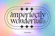 TAN - THE GOLDFINCH, a Font by TanType (Thumbnail 7 of 9)