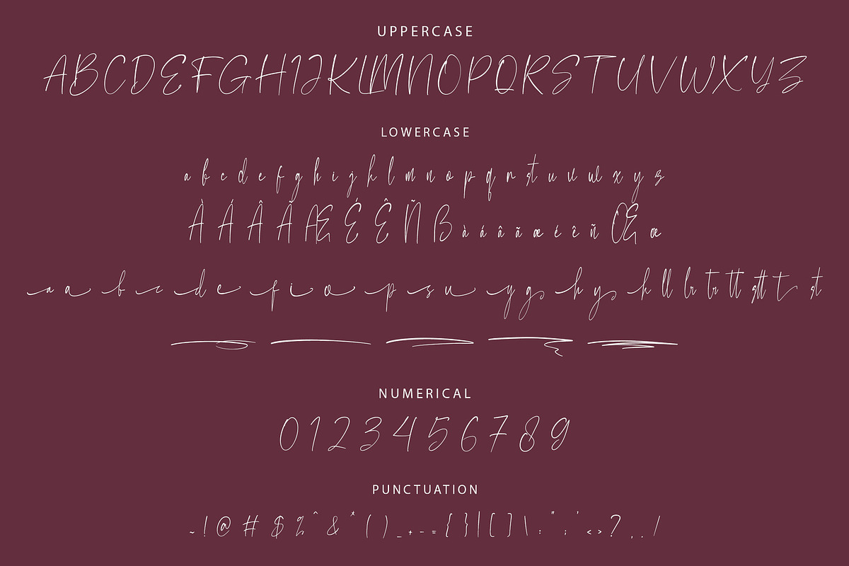 Qialliet Minimalist Script Font, a Script Font by NTC Graphic (Photo 8 of 9)