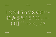 Remara Elegant Decorative Serif Font, a Serif Font by Rasio Studio (Thumbnail 3 of 9)