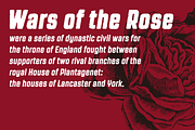 Revolution Gothic P, a Sans Serif Font by Dharma Type (Thumbnail 10 of 11)