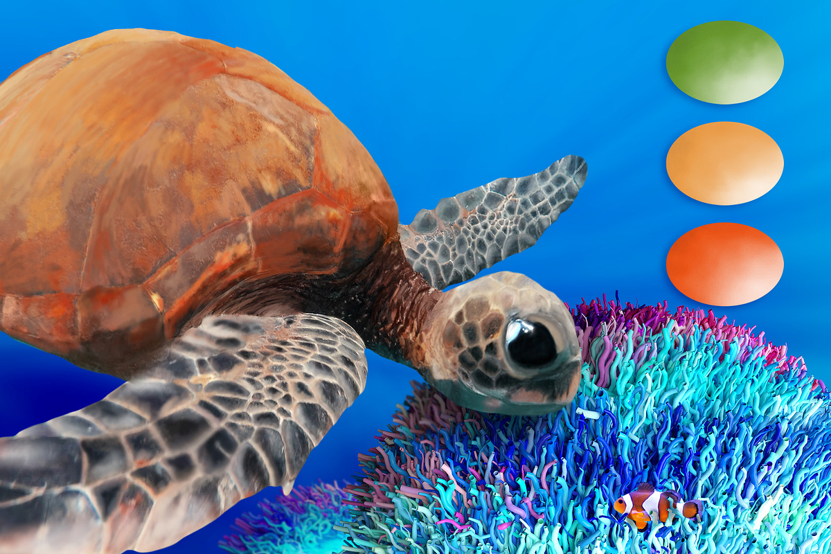 Turtle Swatches & Coral Overlays, a Palette Add-On by PandoraDreams (Photo 2 of 4)