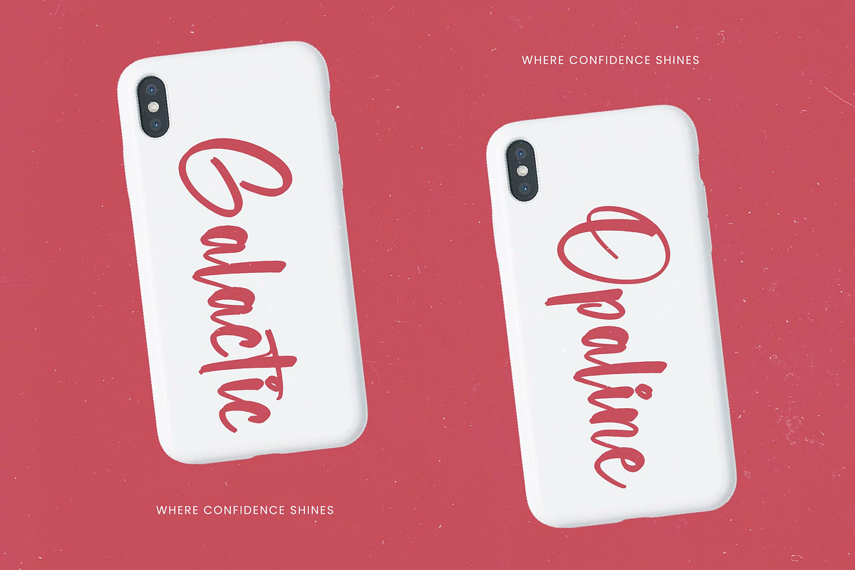 Selynadia Bold Brush Font, a Script Font by stylishtype.co (Photo 2 of 20)