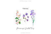 watercolor birth flowers collection, a Decorative Illustration by Patishop Art (Thumbnail 3 of 9)