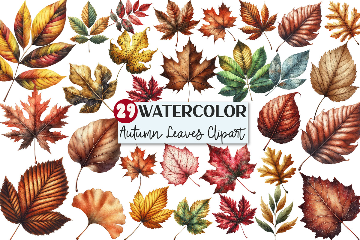 Rustic Autumn Leaves Clipart, an Illustration by Rose Art (Photo 1 of 5)