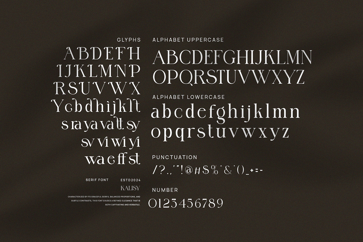 Kalisy Modern Serif Font, a Serif Font by Perfectype (Photo 7 of 8)