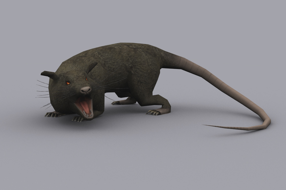 GIANT RAT fbx only, an Animal 3D Model by PROTOFACTOR