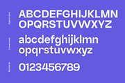 Nomixa Sans Serif Family, a Sans Serif Font by Yukita Creative (Thumbnail 8 of 10)