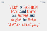 The Lumina Awesome, a Serif Font by Zane Studio (Thumbnail 8 of 12)