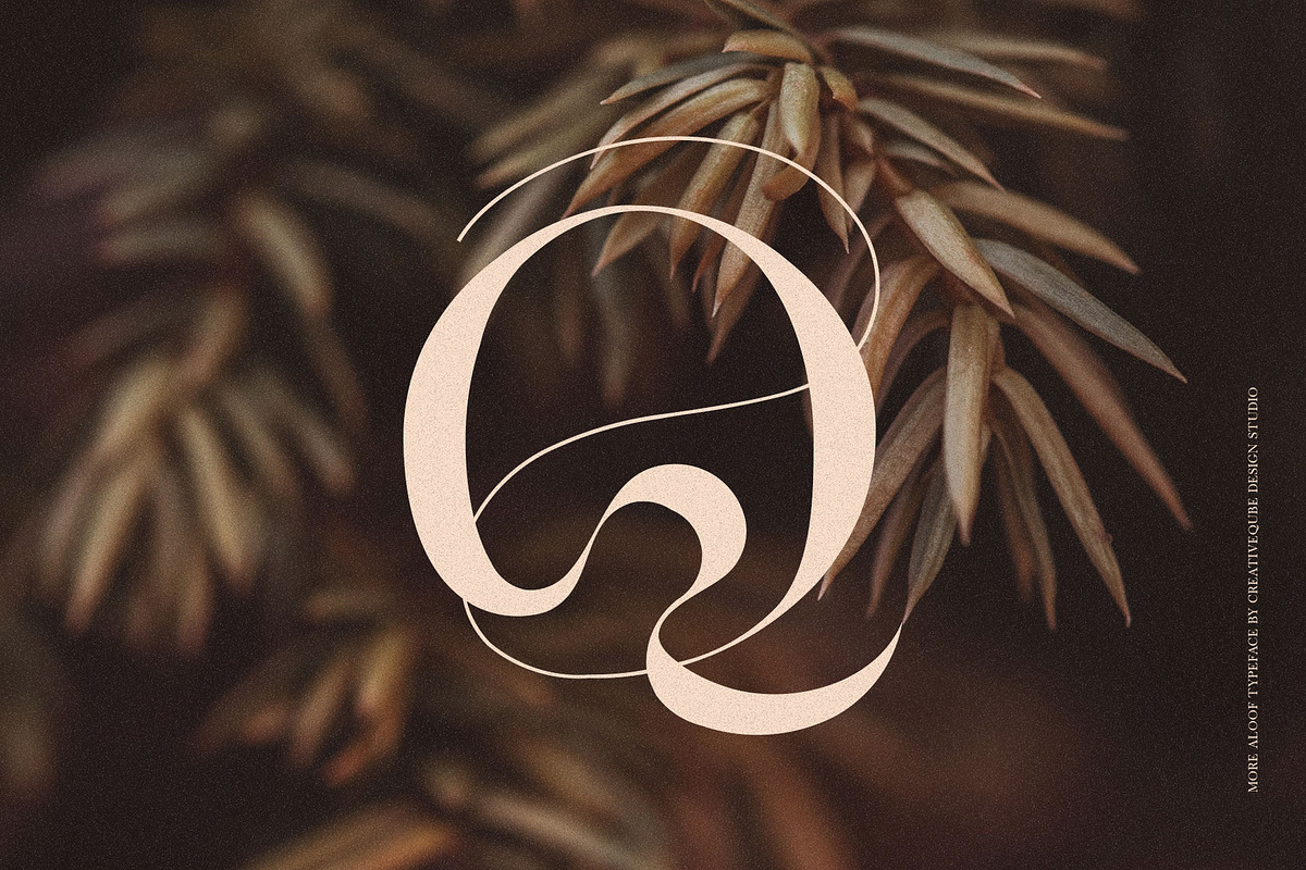 More Aloof Typeface Font, a Serif Font by Creativeqube Design (Photo 3 of 14)