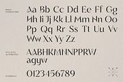 Regalic | Font Family, a Sans Serif Font by Digitype Studio (Thumbnail 6 of 14)