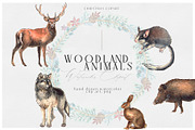 Watercolor Christmas Wild Forest Set, an Animal Illustration by NassyArt (Thumbnail 1 of 9)