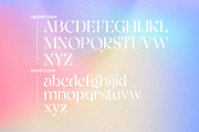 Rogie - Modern Display Serif, a Serif Font by Mokatype Studio (Thumbnail 7 of 11)