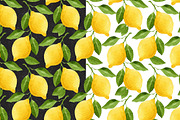 Watercolor Lemons Set, a Food Illustration by Helga Wigandt (Thumbnail 8 of 9)