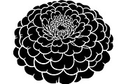 Decorative Floral Mandala Rose Butte, an Object Illustration by Designer_Momina (Thumbnail 16 of 21)