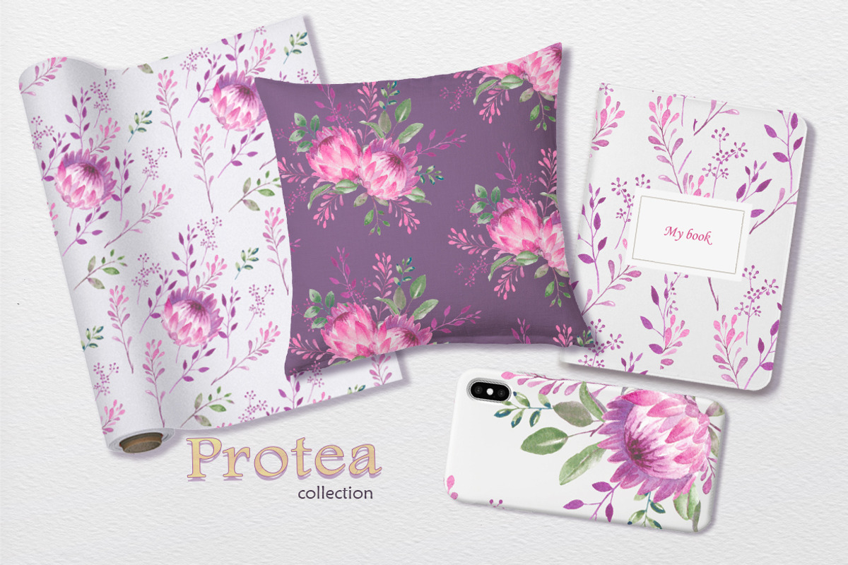 Protea collection, an Illustration by oKOLOstyle (Photo 6 of 6)