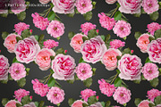 PNG Floral clipart collection, an Object Graphic by Imageblend (Thumbnail 4 of 8)