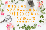 Springtime Font, a Symbol Font by LivelyAutumn11.11 (Thumbnail 3 of 4)