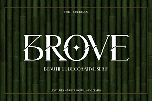 Brove | Beautiful Decorative Serif