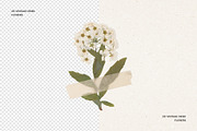 231 Vintage Dried Flowers, an Object Graphic by Ksuview (Thumbnail 2 of 8)