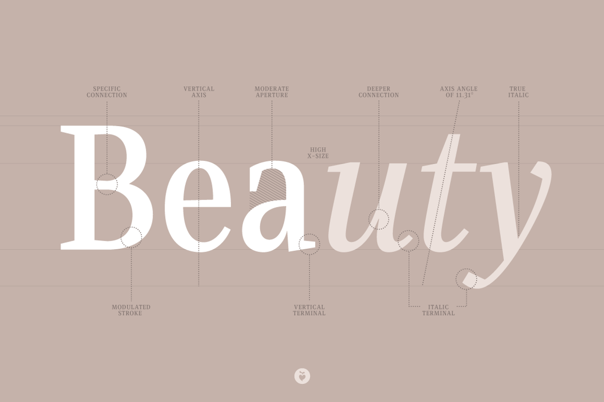 Singel, a Serif Font by Fontfabric (Photo 3 of 5)