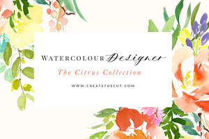 The Citrus Collection