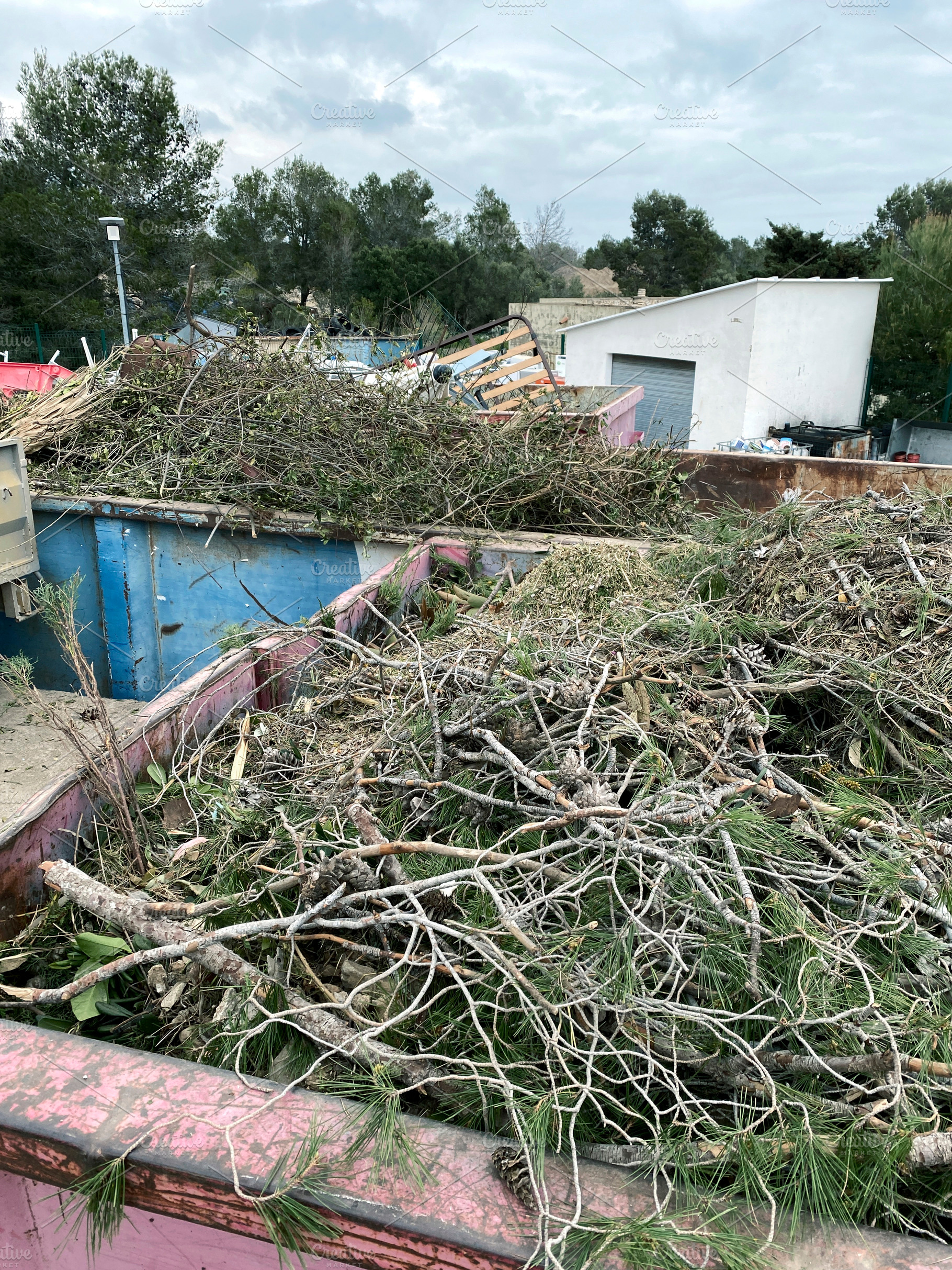a container overflowing with pruning waste outdoors, a Photo by Nito