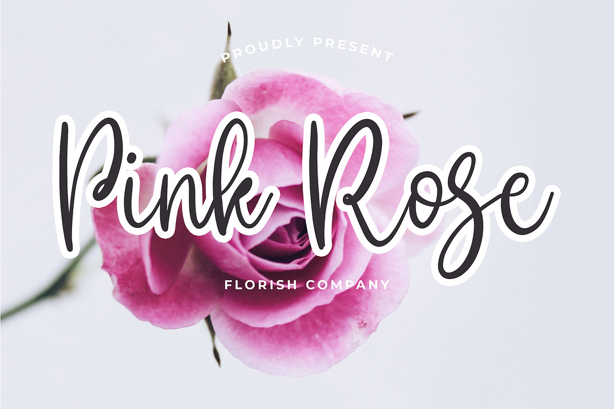Lincoln Beautiful Calligraphy Font preview 2