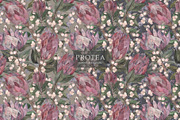 Patterns PROTEA, an Illustration by PASHKOVA (Thumbnail 19 of 19)
