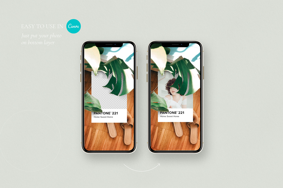Pantone Stories | Canva & PS, a Social Media Template by Stories Collective (Photo 2 of 5)