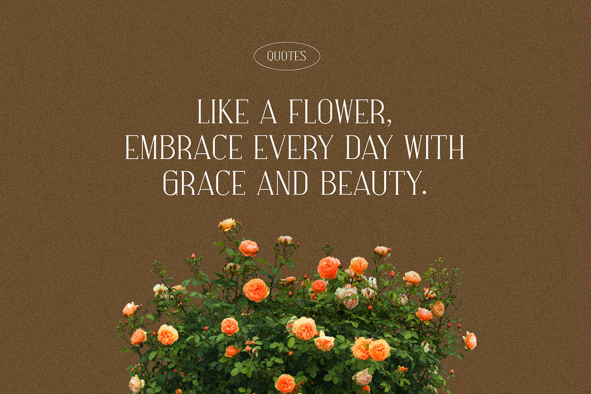 Hosline Modern Serif Font, a Serif Font by Perfectype (Photo 2 of 10)