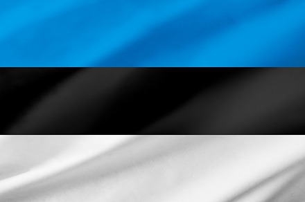 Estonia flag background with waving fabric texture, a Background Photo by Davizro's Market