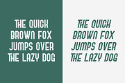 Ellina Minimalist Font, a Sans Serif Font by Artiveko (Thumbnail 4 of 8)