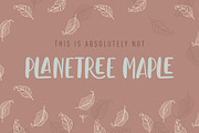 Leaves and Ground - SALE - 60% OFF, a Script Font by StereoType (Thumbnail 10 of 10)