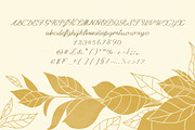 Rubeni Script, a Script Font by Natalia Gonzalez (Thumbnail 2 of 3)