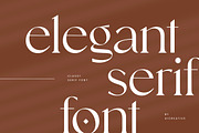 Eleanor Goenka Classic Serif Font, a Serif Font by UICreative (Thumbnail 9 of 13)