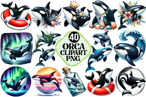 Watercolor Orca Clipart, an Illustration by Pixels.Craft