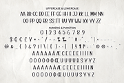Background | Script Font, a Script Font by Scratchones (Thumbnail 7 of 8)