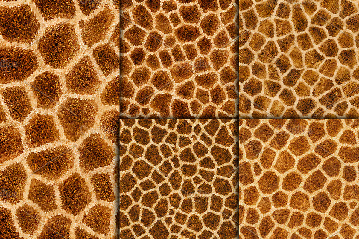 Realistic Giraffe Fur Texture, a Pattern Graphic by Artonix (Photo 4 of 4)