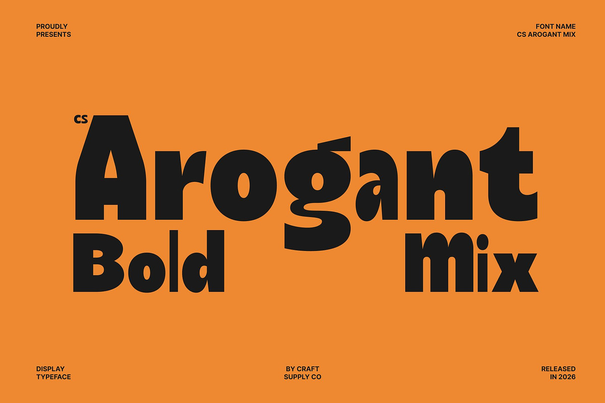 CS Arogant Mix, a Sans Serif Font by Craft Supply Co. (Photo 1 of 8)