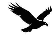 Powerful eagle flying wall art, an Illustration by Amazin_art (Thumbnail 5 of 26)