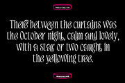 TAN - IMAGINAIRE, a Serif Font by TanType (Thumbnail 10 of 12)