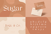 Unique Branding Modern Font Bundle, a Serif Font by Sensatype (Thumbnail 9 of 13)