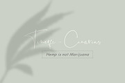 Hemp/Marijuana Shadows & MockUp, a Mockup by Jeanina Vlad (Thumbnail 14 of 17)