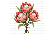 Dried Protea Bloom, a Decorative Illustration by Bloom Craft Creations (Thumbnail 8 of 10)