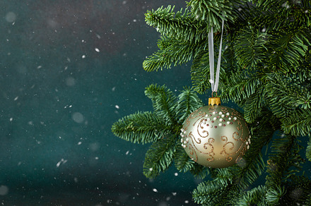 Christmas ball, a Holiday Photo by Pandateam